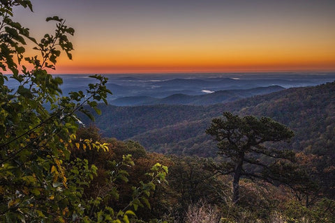USA-Virginia-Shenandoah National Park-Sunrise along Skyline Drive in the Fall White Modern Wood Framed Art Print with Double Matting by Looney, Hollice