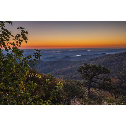 USA-Virginia-Shenandoah National Park-Sunrise along Skyline Drive in the Fall Black Modern Wood Framed Art Print by Looney, Hollice