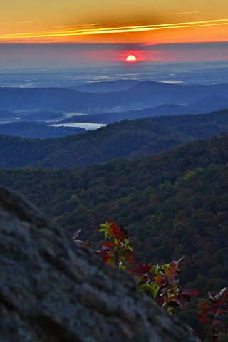 USA-Virginia-Shenandoah National Park-Sunrise along Skyline Drive in the Fall Black Ornate Wood Framed Art Print with Double Matting by Looney, Hollice