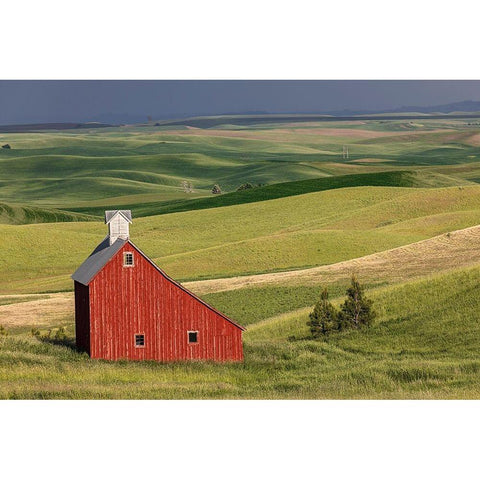 Red barn in valley of rolling farm fields-Palouse agricultural region of western Idaho Black Modern Wood Framed Art Print by Jones, Adam