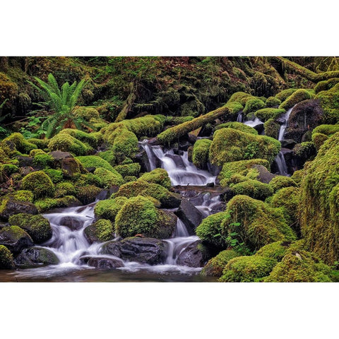 Small stream cascading through moss covered rocks-Hoh Rainforest-Olympic National Park Black Modern Wood Framed Art Print by Jones, Adam