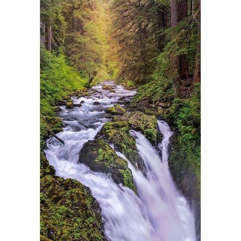 Sol Duc River and Falls-Olympic National Park-Washington State Black Modern Wood Framed Art Print by Jones, Adam