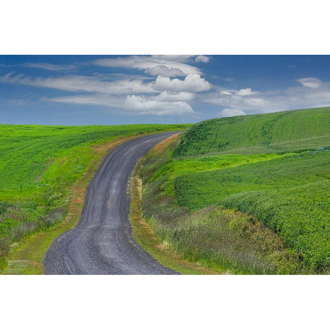 Rural road through rolling wheat fields-Palouse region of eastern Washington State Black Modern Wood Framed Art Print by Jones, Adam