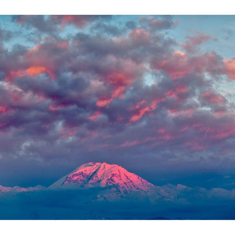 Mt Rainier at sunset-Washington State Gold Ornate Wood Framed Art Print with Double Matting by Jones, Adam