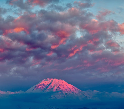 Mt Rainier at sunset-Washington State Black Ornate Wood Framed Art Print with Double Matting by Jones, Adam