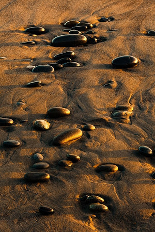 Pattern of smooth round stones on beach at sunset-Olympic National Park-Washington State White Modern Wood Framed Art Print with Double Matting by Jones, Adam
