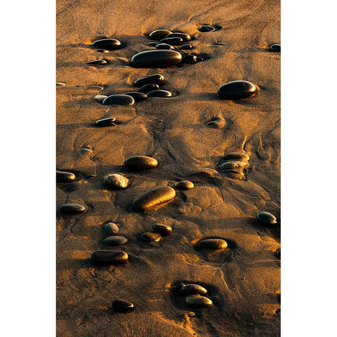 Pattern of smooth round stones on beach at sunset-Olympic National Park-Washington State Black Modern Wood Framed Art Print by Jones, Adam