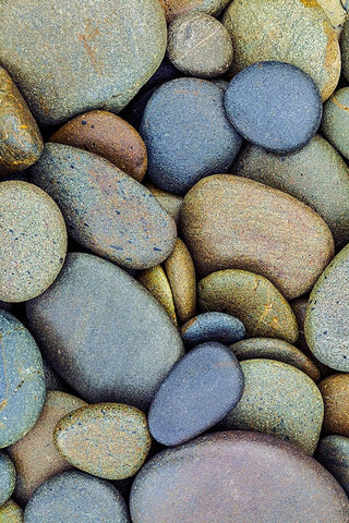 Pattern of smooth rounded stones on beach-Olympic National Park-Washington State Black Ornate Wood Framed Art Print with Double Matting by Jones, Adam