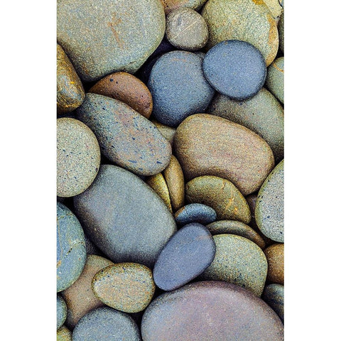 Pattern of smooth rounded stones on beach-Olympic National Park-Washington State Black Modern Wood Framed Art Print by Jones, Adam