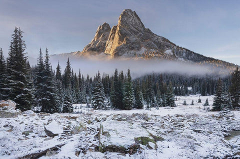 Fresh autumn snow on Liberty Bell Mountain and meadows of Washington State Pass White Modern Wood Framed Art Print with Double Matting by Majchrowicz, Alan