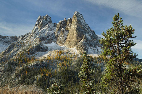 Liberty Bell Mountain and Early Winters Spires seen from Washington State Pass Overlook Black Ornate Wood Framed Art Print with Double Matting by Majchrowicz, Alan