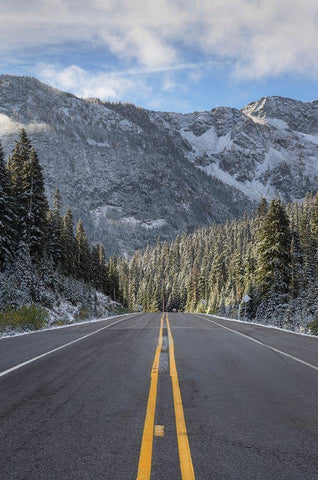 North Cascades Highway at Rainy Pass-Washington State Black Ornate Wood Framed Art Print with Double Matting by Majchrowicz, Alan