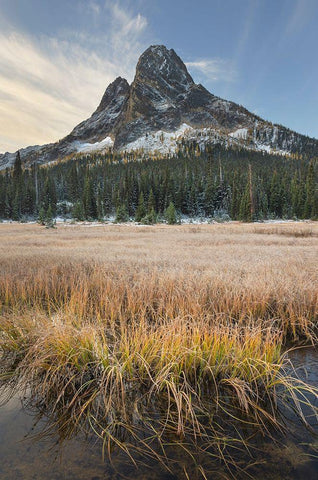 Liberty Bell Mountain and meadows of Washington State Pass North Cascades-Washington State Black Ornate Wood Framed Art Print with Double Matting by Majchrowicz, Alan