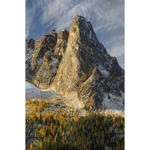 Liberty Bell Mountain Early Winters Spires-and golden autumn Larches Black Modern Wood Framed Art Print with Double Matting by Majchrowicz, Alan
