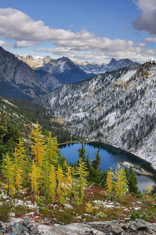 Lake Ann and golden larches after autumn snowfall North Cascades-Washington State White Modern Wood Framed Art Print with Double Matting by Majchrowicz, Alan