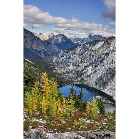 Lake Ann and golden larches after autumn snowfall North Cascades-Washington State Black Modern Wood Framed Art Print by Majchrowicz, Alan