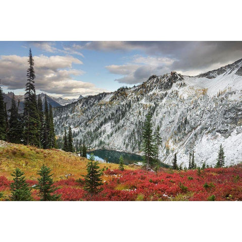 Lake Ann in autumn with fresh snowfall North Cascades-Washington State Gold Ornate Wood Framed Art Print with Double Matting by Majchrowicz, Alan