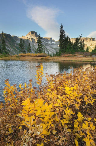 Heather Meadows in autumn Table Mountain is in the distance  Black Ornate Wood Framed Art Print with Double Matting by Majchrowicz, Alan
