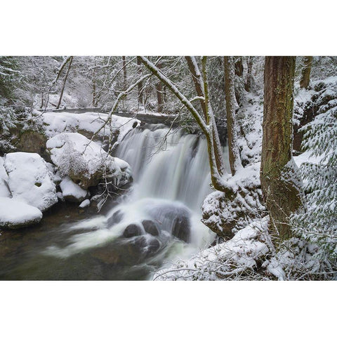 Whatcom Falls after fresh dusting of winter snow Whatcom Falls City Park-Bellingham Black Modern Wood Framed Art Print by Majchrowicz, Alan