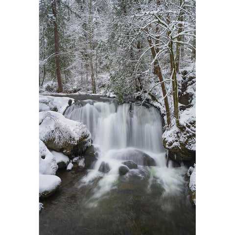 Whatcom Falls after fresh dusting of winter snow Whatcom Falls City Park-Bellingham Black Modern Wood Framed Art Print by Majchrowicz, Alan