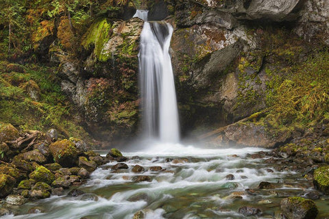 Lazy Bear Falls-Mount Baker-Snoqualmie National Forest-North Cascades-Washington State White Modern Wood Framed Art Print with Double Matting by Majchrowicz, Alan