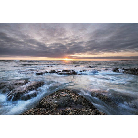 Kalaloch Beach 4 at sunset-Olympic National Park-Washington State Gold Ornate Wood Framed Art Print with Double Matting by Majchrowicz, Alan