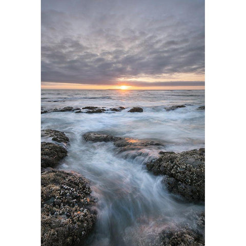 Kalaloch Beach 4 at sunset-Olympic National Park-Washington State Gold Ornate Wood Framed Art Print with Double Matting by Majchrowicz, Alan