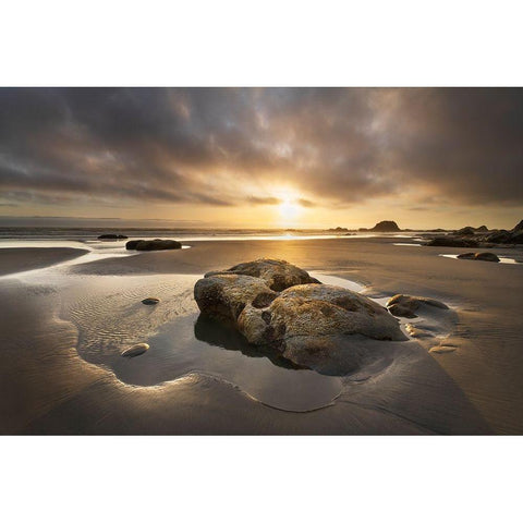 Kalaloch Beach sunset-Olympic National Park-Washington State White Modern Wood Framed Art Print by Majchrowicz, Alan