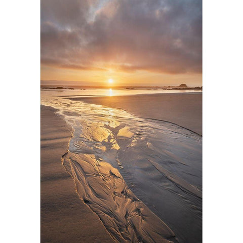 Stream flowing into the Pacific Ocean at sunset-Kalaloch Beach Olympic National Park Black Modern Wood Framed Art Print by Majchrowicz, Alan