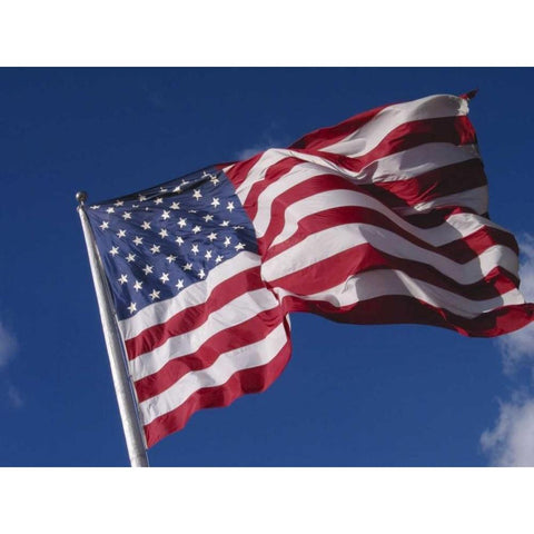 Washington, Cle Elum American flag flaps in wind Gold Ornate Wood Framed Art Print with Double Matting by Ross, Nancy ,  Steve