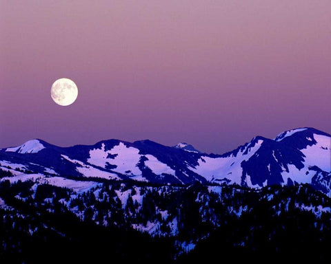 WA, Olympic NP Moonrise from Hurricane Ridge Black Ornate Wood Framed Art Print with Double Matting by Kelley, David