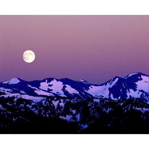 WA, Olympic NP Moonrise from Hurricane Ridge White Modern Wood Framed Art Print by Kelley, David