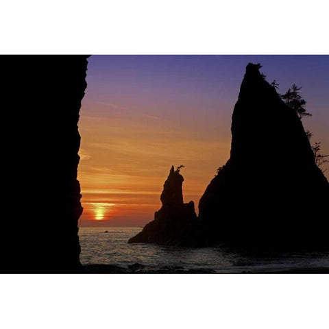WA, Olympic NP Sunset of Rialto Beach seastacks Black Modern Wood Framed Art Print by Paulson, Don
