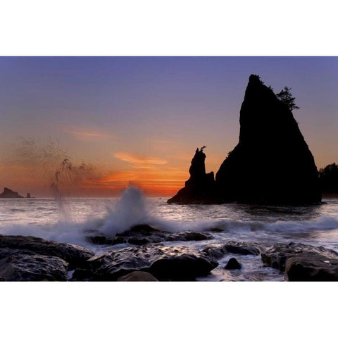 WA, Olympic NP Sea stack at Rialto Beach, sunset Black Modern Wood Framed Art Print by Paulson, Don