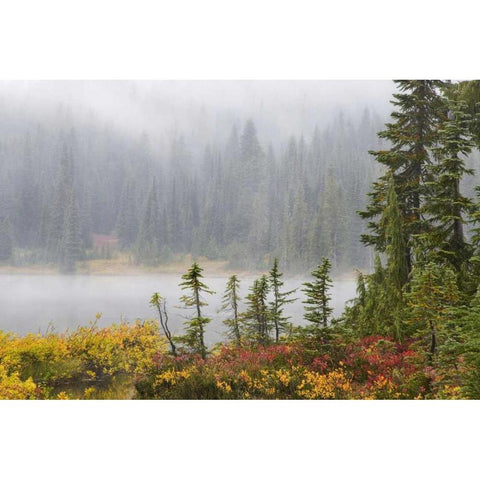 WA, Mount Rainier NP Trees and lake in mist White Modern Wood Framed Art Print by Paulson, Don