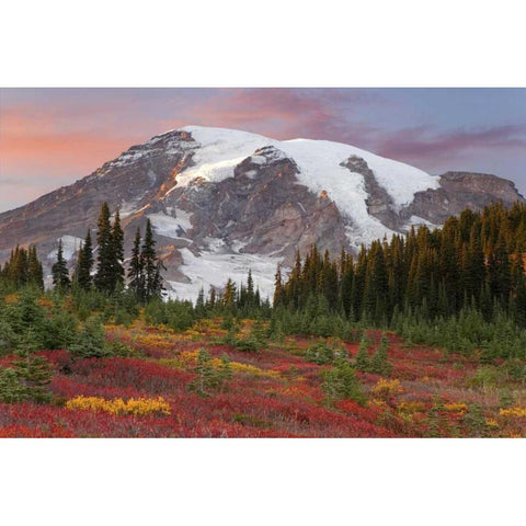 Washington Sunset over Mount Rainier and valley Black Modern Wood Framed Art Print by Paulson, Don