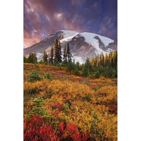 Washington Sunset over Mount Rainier and valley Gold Ornate Wood Framed Art Print with Double Matting by Paulson, Don