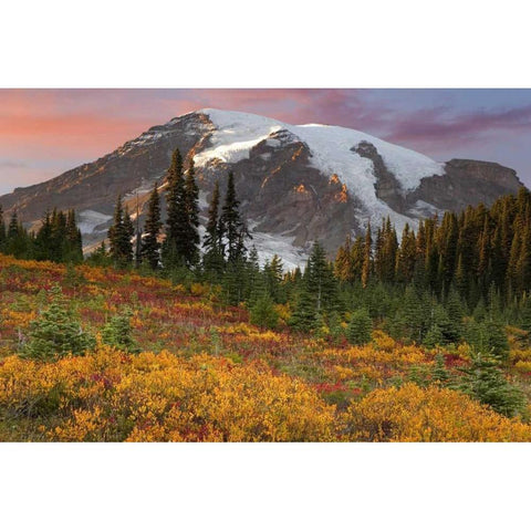 Washington Sunset over Mount Rainier and valley Black Modern Wood Framed Art Print by Paulson, Don