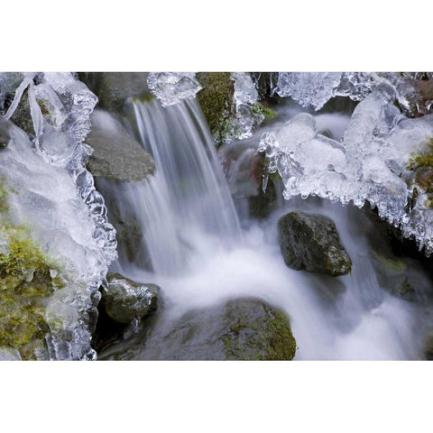 Washington, Olympic NP Icy winter waterfall Black Modern Wood Framed Art Print with Double Matting by Paulson, Don