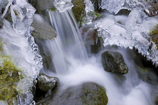 Image Only