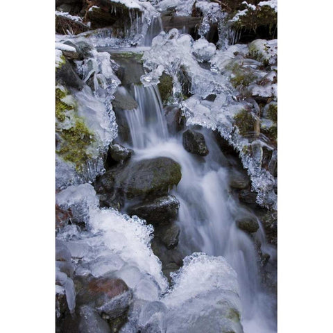 Washington, Olympic NP Icy winter waterfall Black Modern Wood Framed Art Print by Paulson, Don