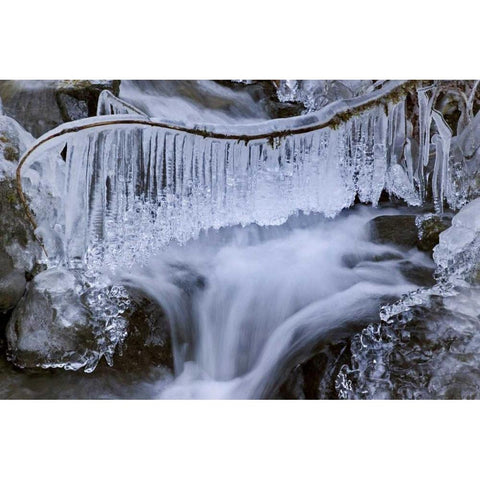 Washington, Olympic NP Icy winter waterfall Gold Ornate Wood Framed Art Print with Double Matting by Paulson, Don