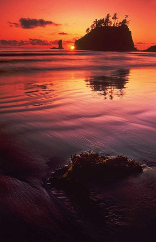 WA, Olympic NP Sunset over sea stacks Black Ornate Wood Framed Art Print with Double Matting by Welling, Dave