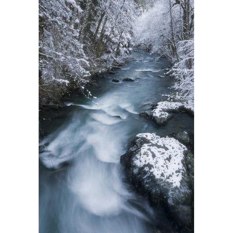 USA, WA, Olympic NP Hamma Hamma River in winter Black Modern Wood Framed Art Print by Paulson, Don