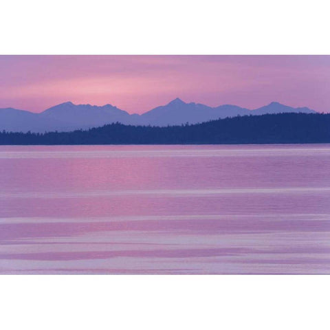 WA, San Juans, view over Haro Straight at sunset Black Modern Wood Framed Art Print by Paulson, Don