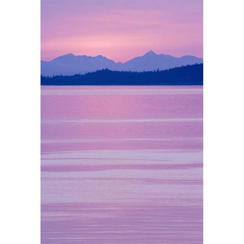 WA, San Juans, view over Haro Straight at sunset Black Modern Wood Framed Art Print by Paulson, Don