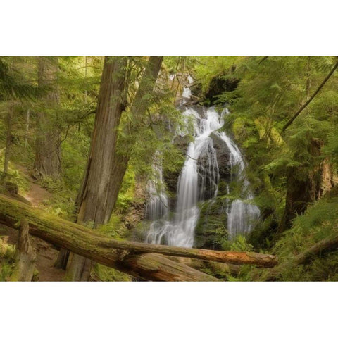 WA, Orcas Isl, Moran SP View of Cascade Falls Gold Ornate Wood Framed Art Print with Double Matting by Paulson, Don