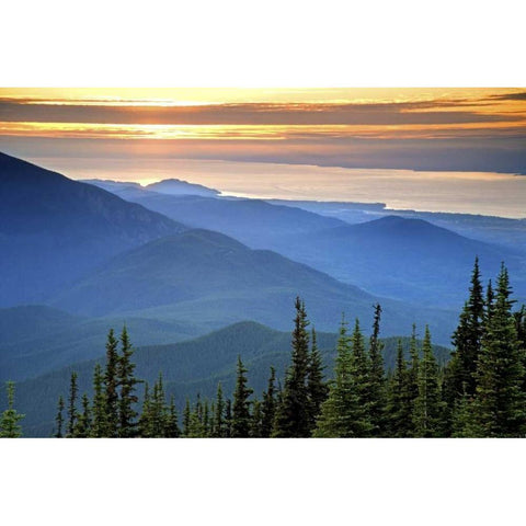 WA, Olympic NP Sunset view from Deer Park Black Modern Wood Framed Art Print by Paulson, Don