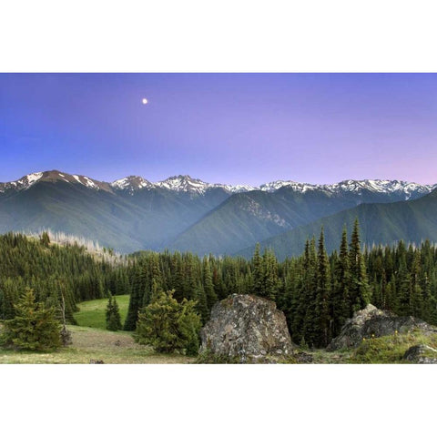 WA, Olympic NP Moonrise viewed from Deer Park Black Modern Wood Framed Art Print by Paulson, Don