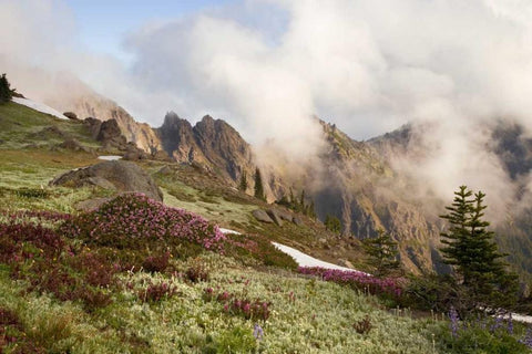 Olympic NP Clouds over meadow and Klahhane Ridge White Modern Wood Framed Art Print with Double Matting by Paulson, Don